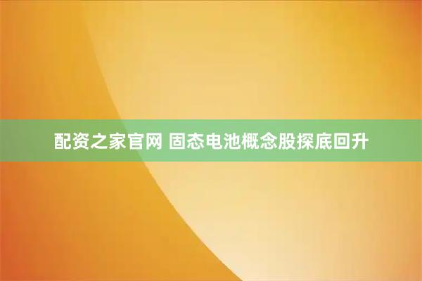配资之家官网 固态电池概念股探底回升