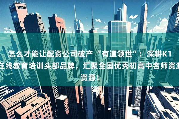 怎么才能让配资公司破产 “有道领世”：深耕K12在线教育培训头部品牌，汇聚全国优秀初高中名师资源！