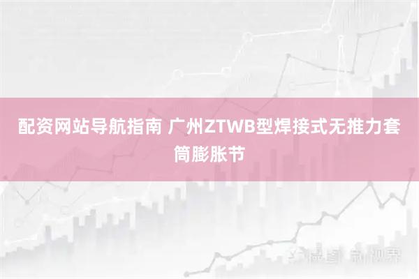 配资网站导航指南 广州ZTWB型焊接式无推力套筒膨胀节
